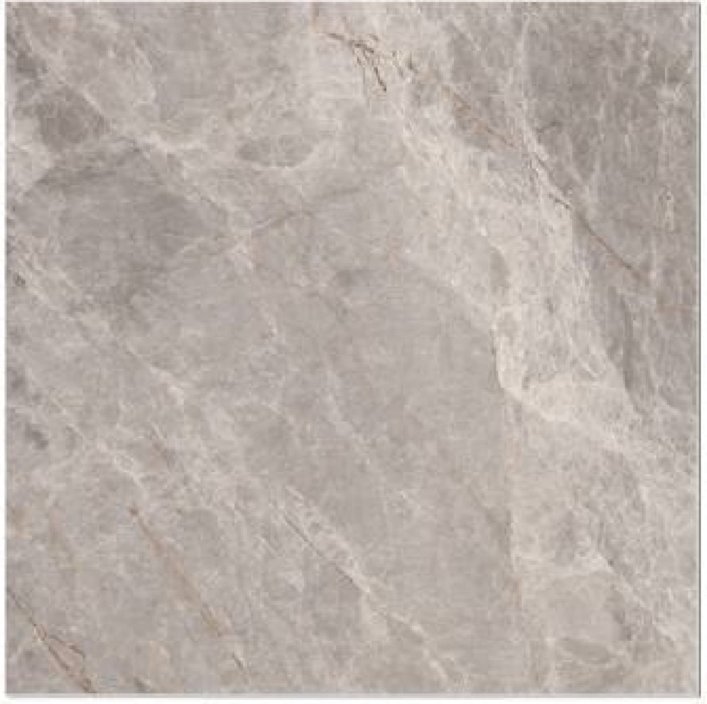 Onyx Fossil, fotografia placii din catalog