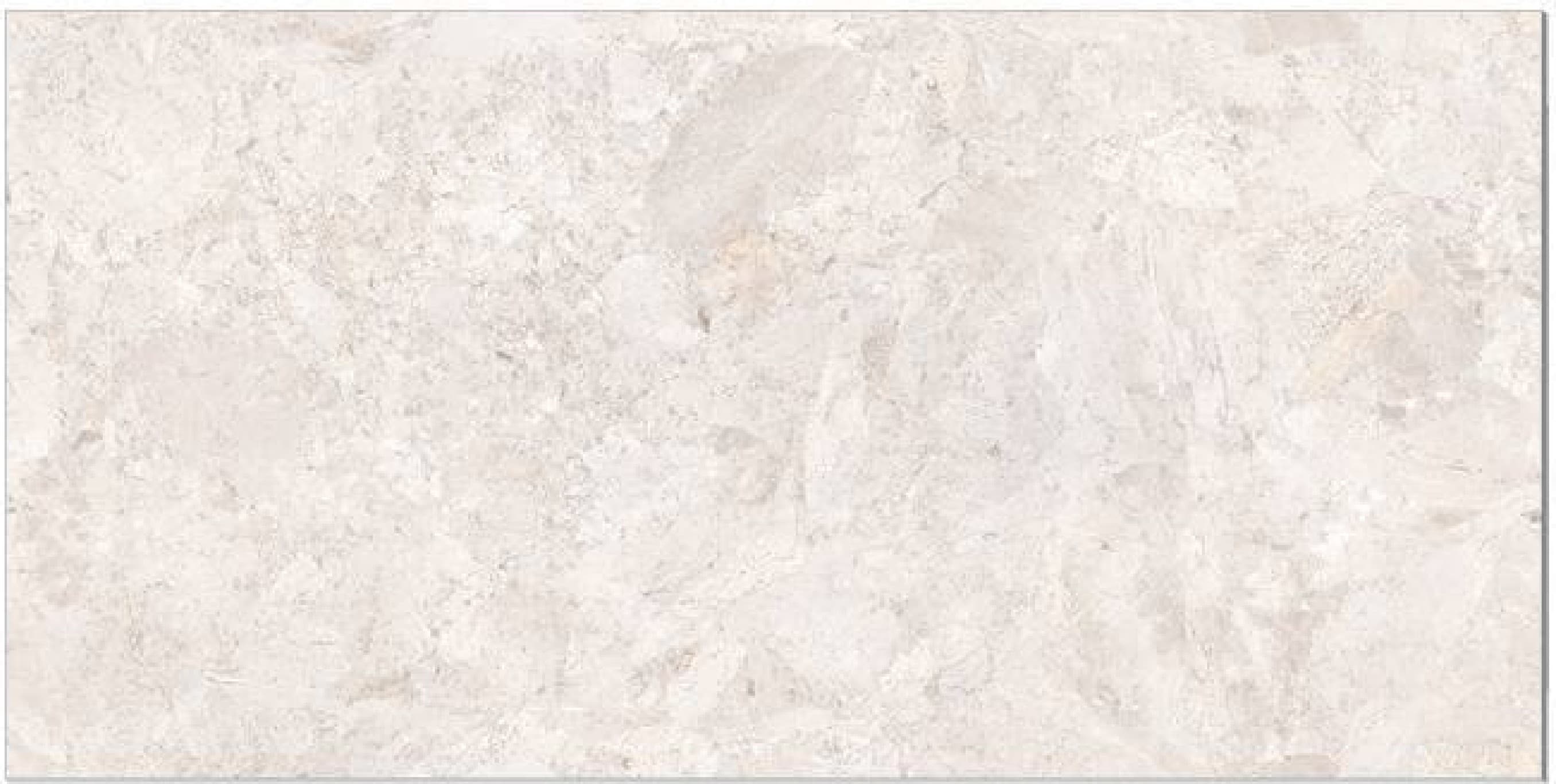 Rizzont Bianco, fotografia placii din catalog