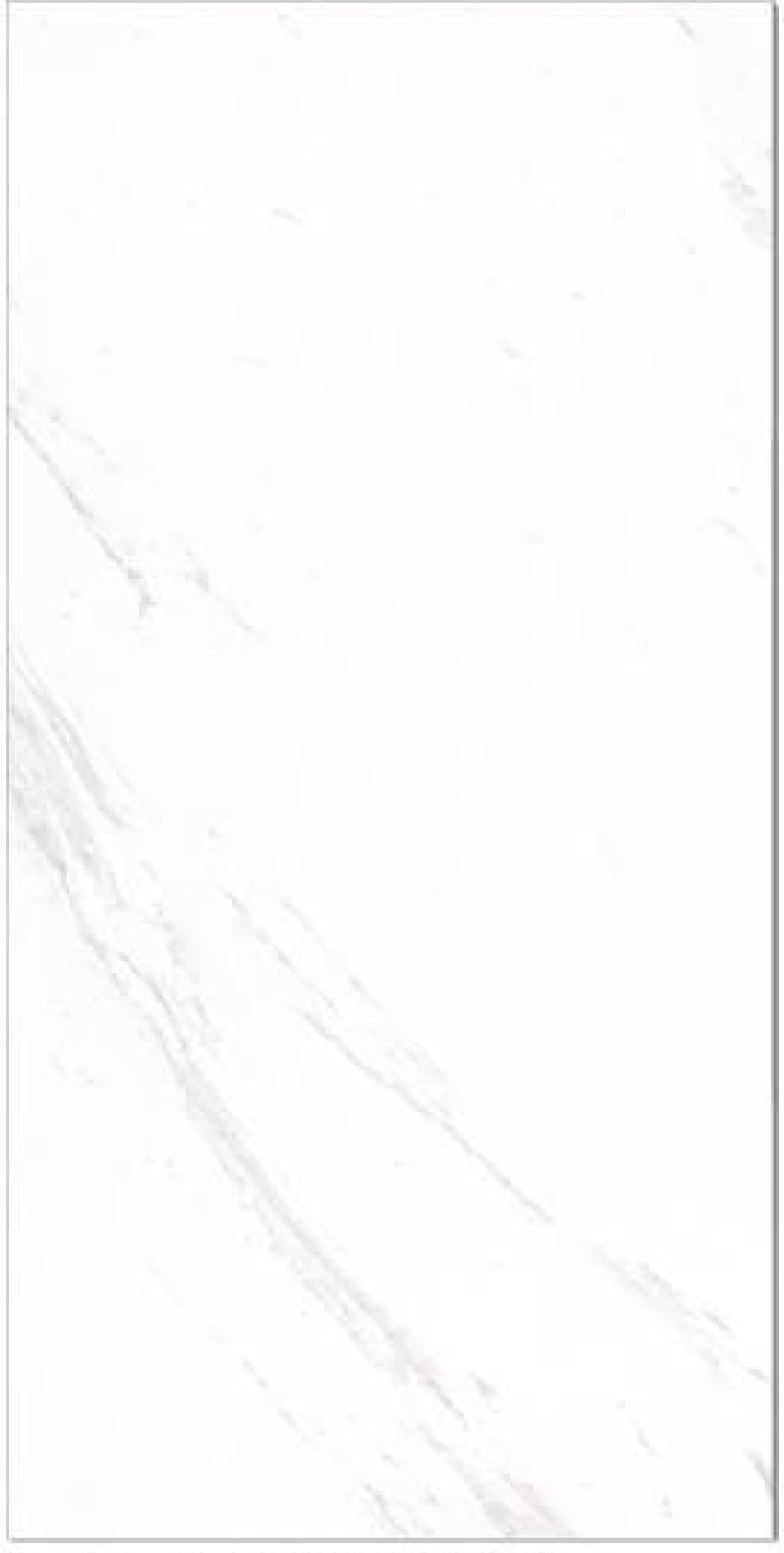 Royal Platinum Satvario, fotografia placii din catalog