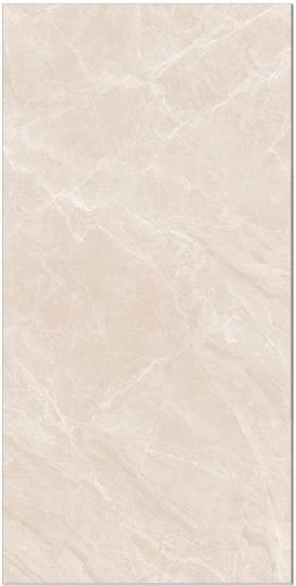 Saga Beige, fotografia placii din catalog