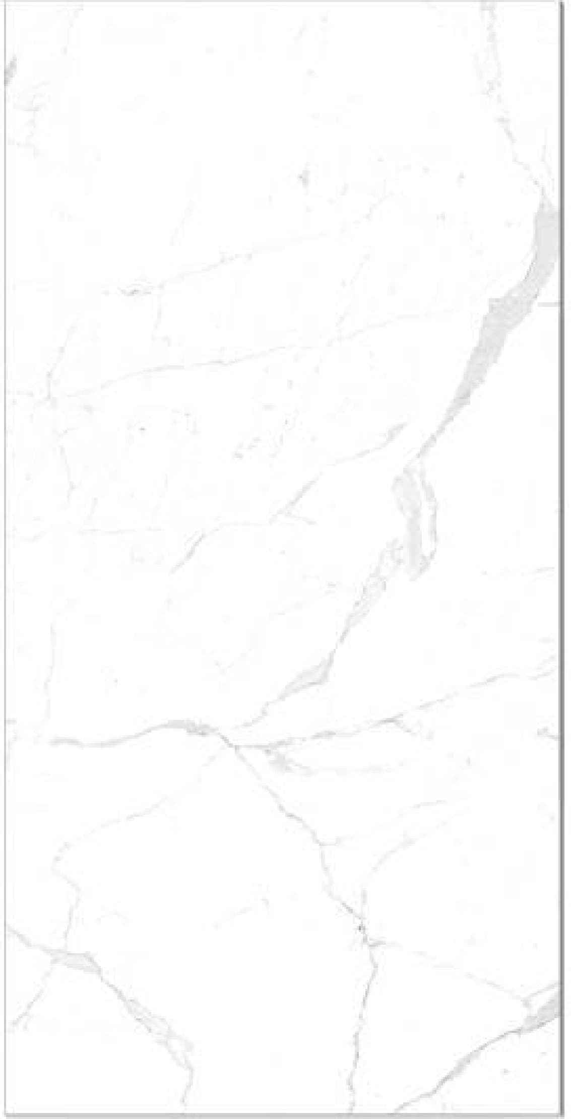 Statuario Natural, fotografia placii din catalog