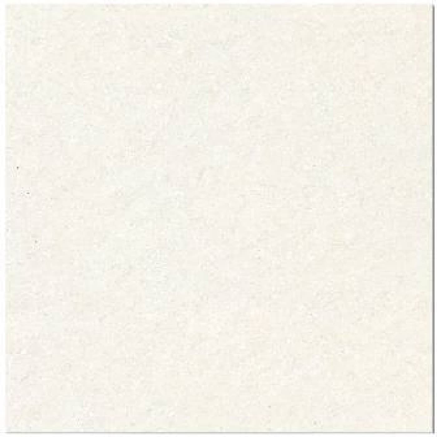 Gresie W6B603, fotografia placii din catalog