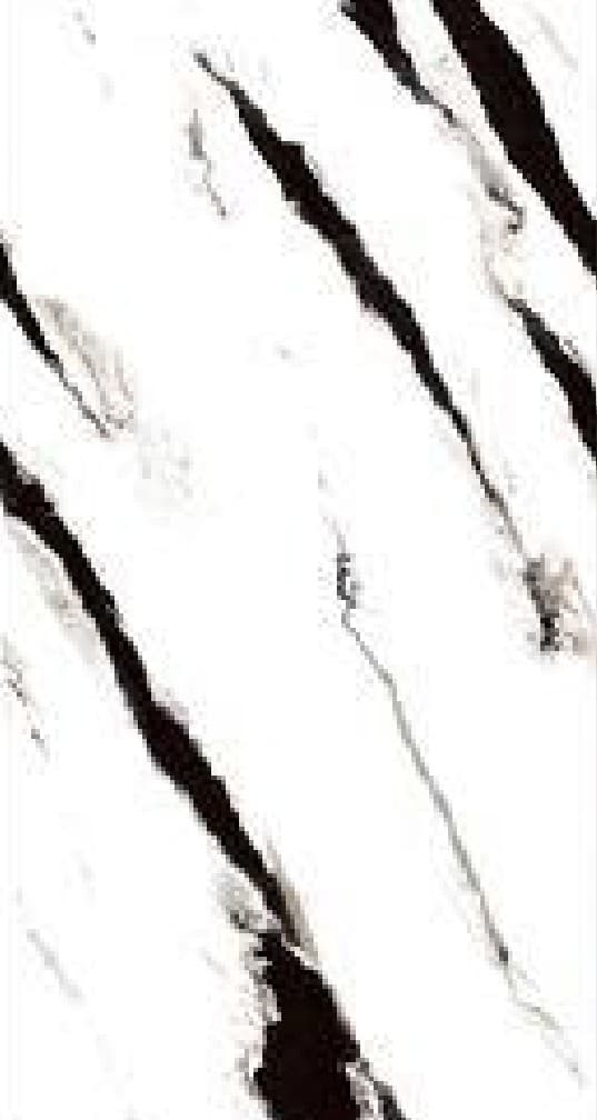White Panda Hg (endless), 60×120