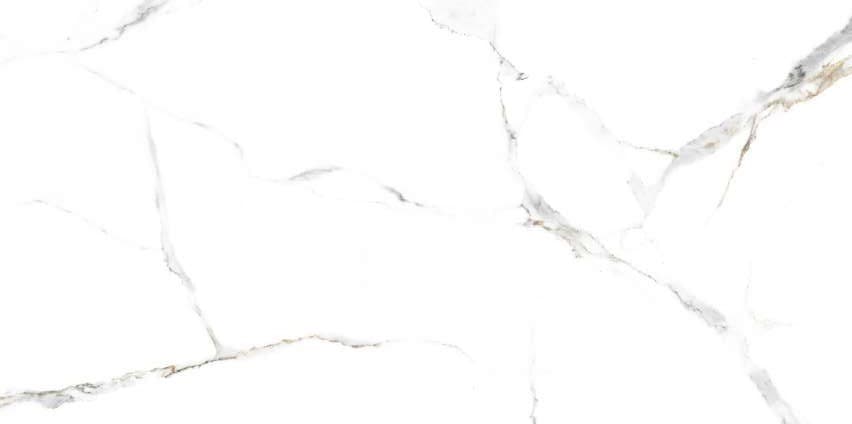Calcatta Oro - o placă 60×120 cm