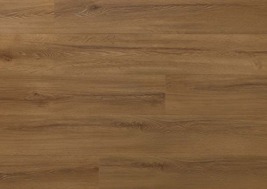 Rochester Oak - textură