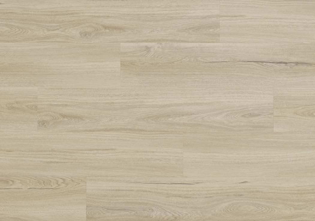 Salerno Oak - textură