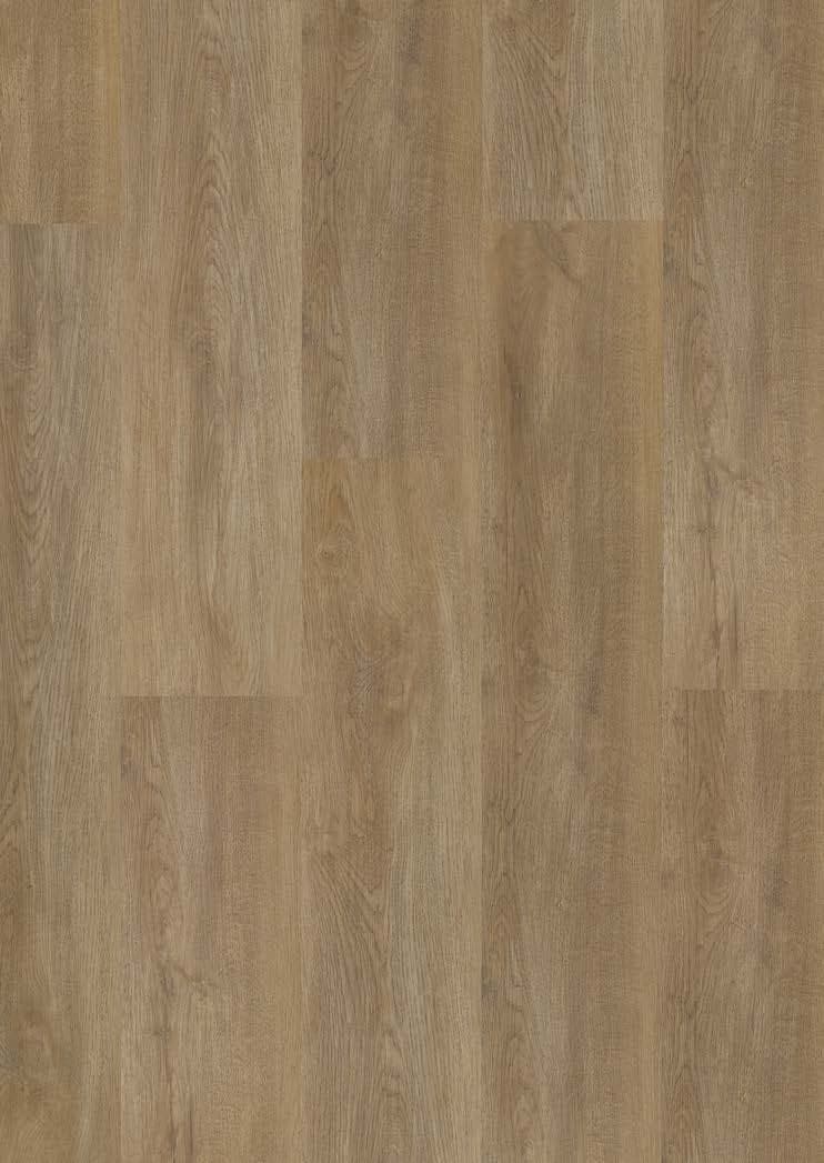 Sierra Oak - textură
