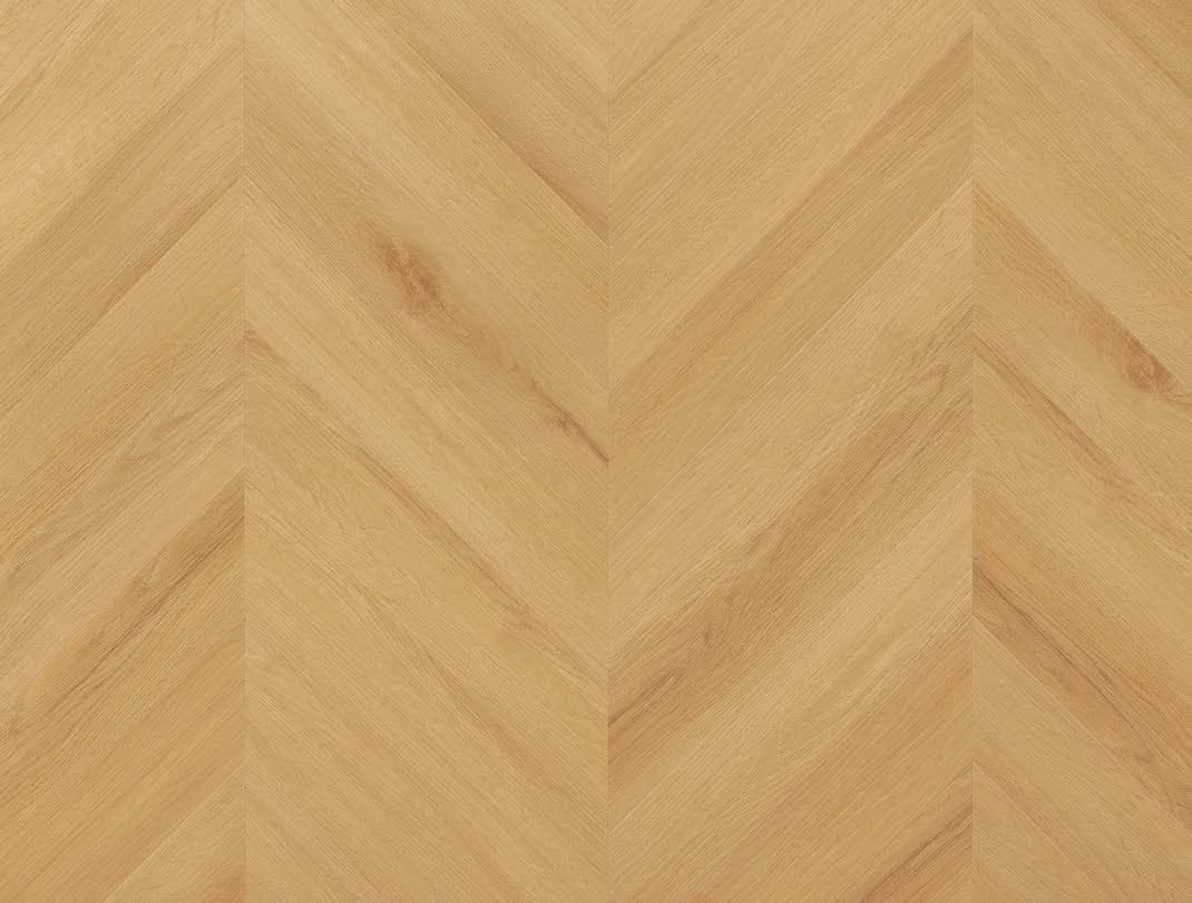 Virgin Oak - textură