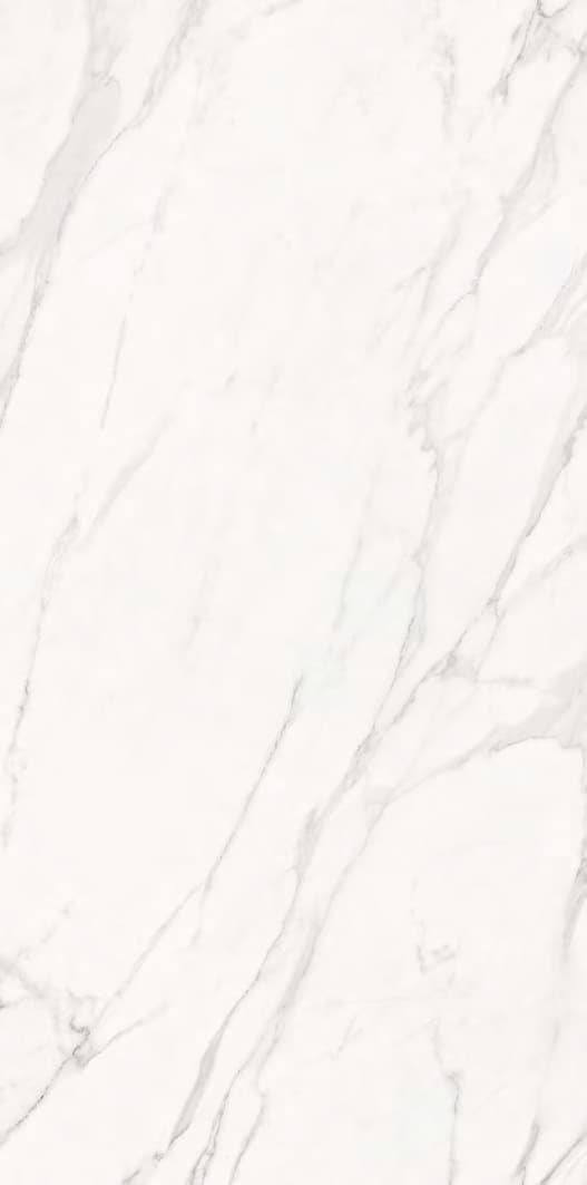 Statuario Michelangelo - textură