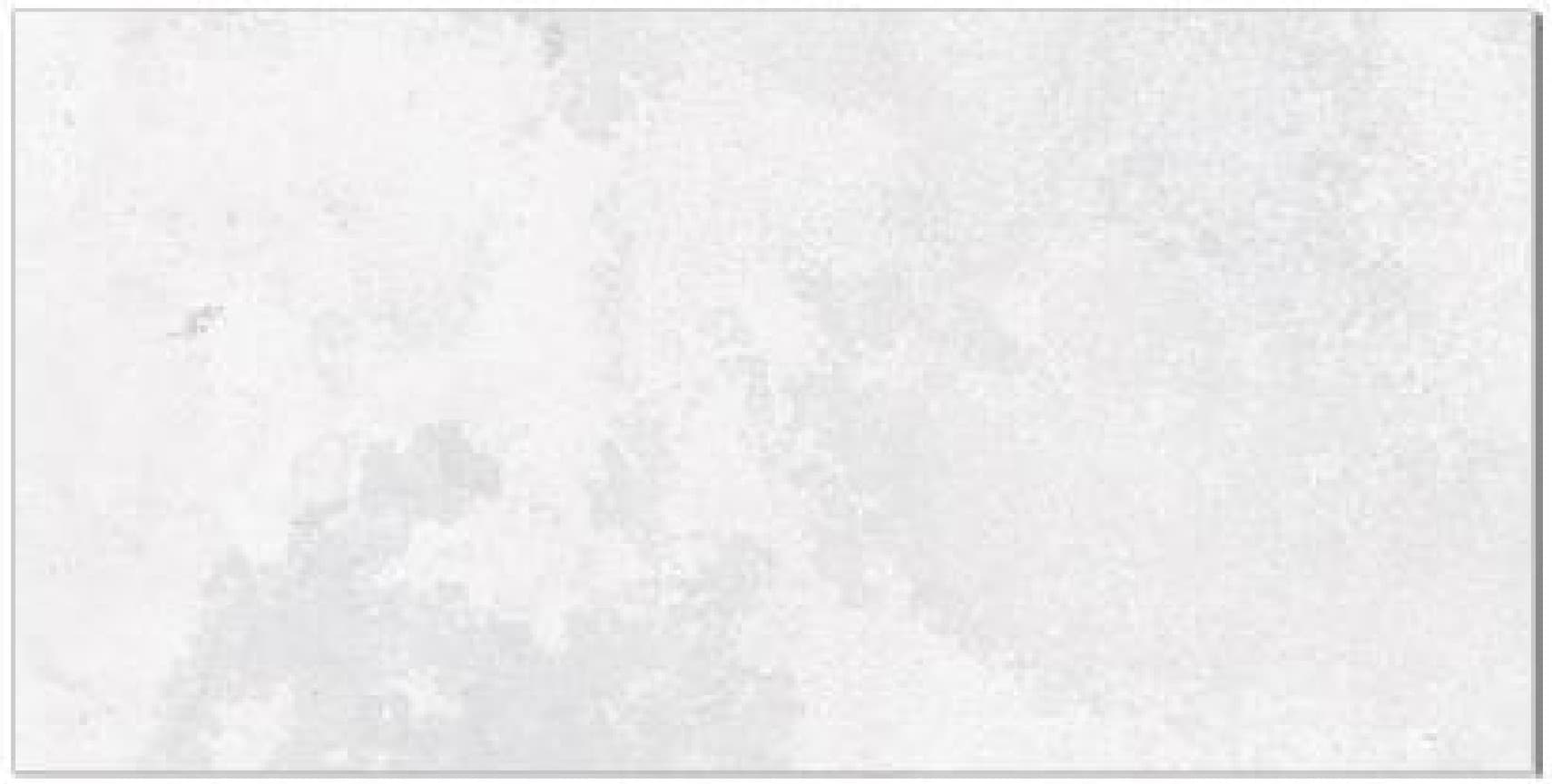 Faianță 40229 A-PL - textură