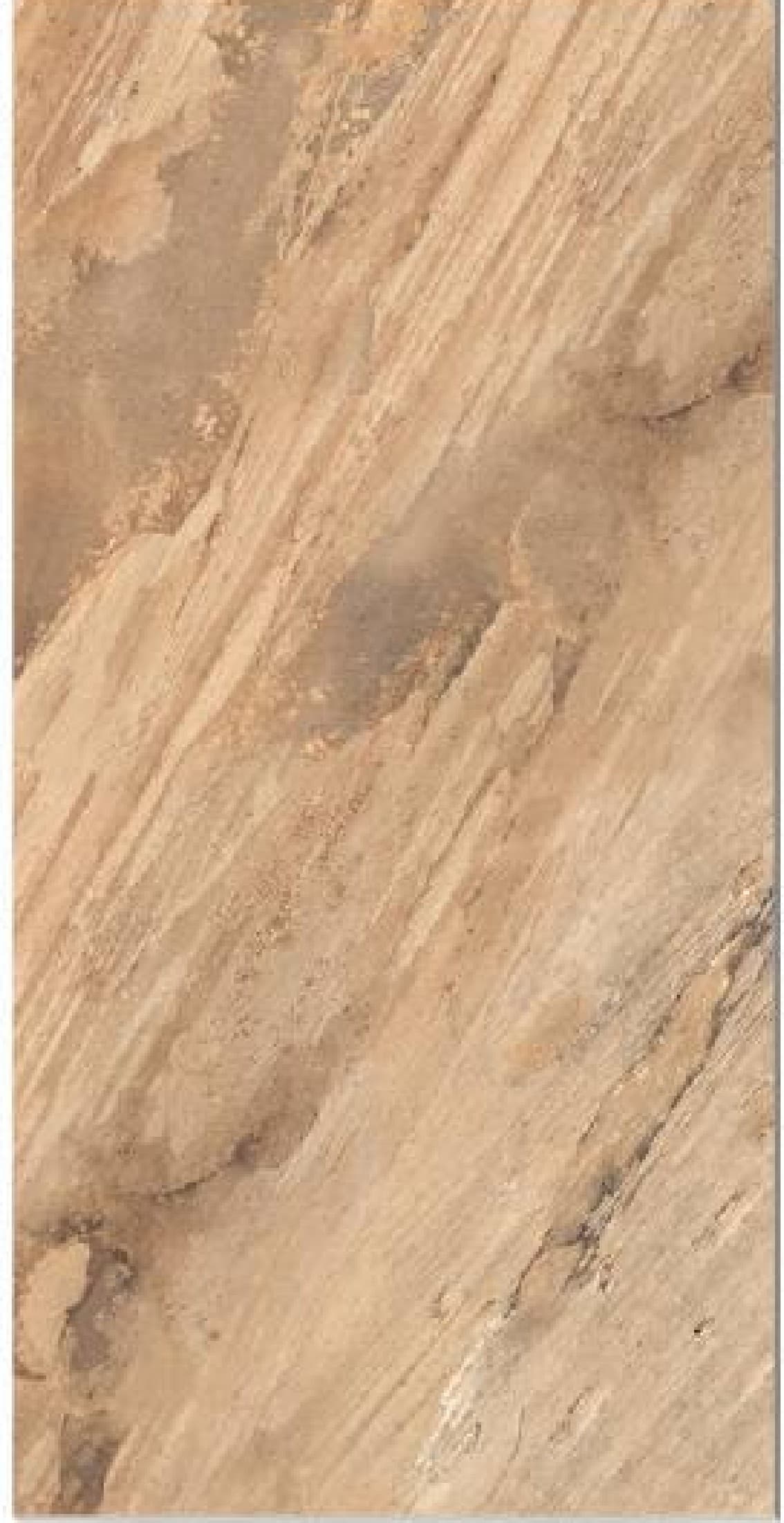 Fossil Natural Grande - textură