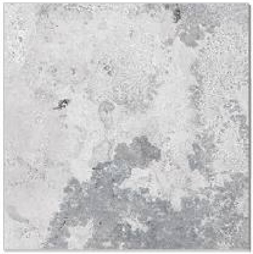 Gresie 40229 BF - textură