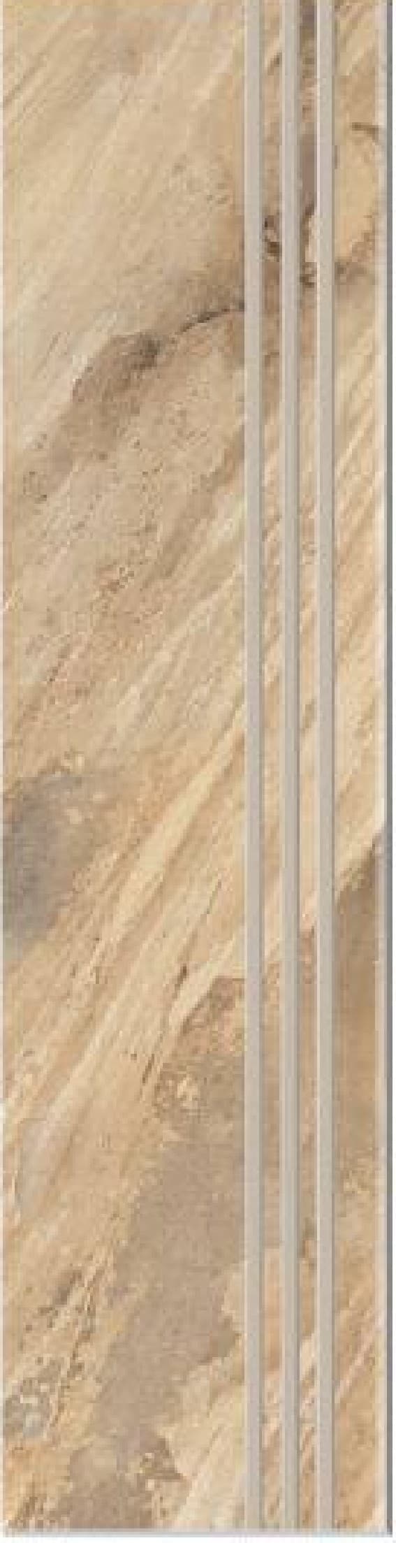 Treaptă Fossil Natural Grande - textură