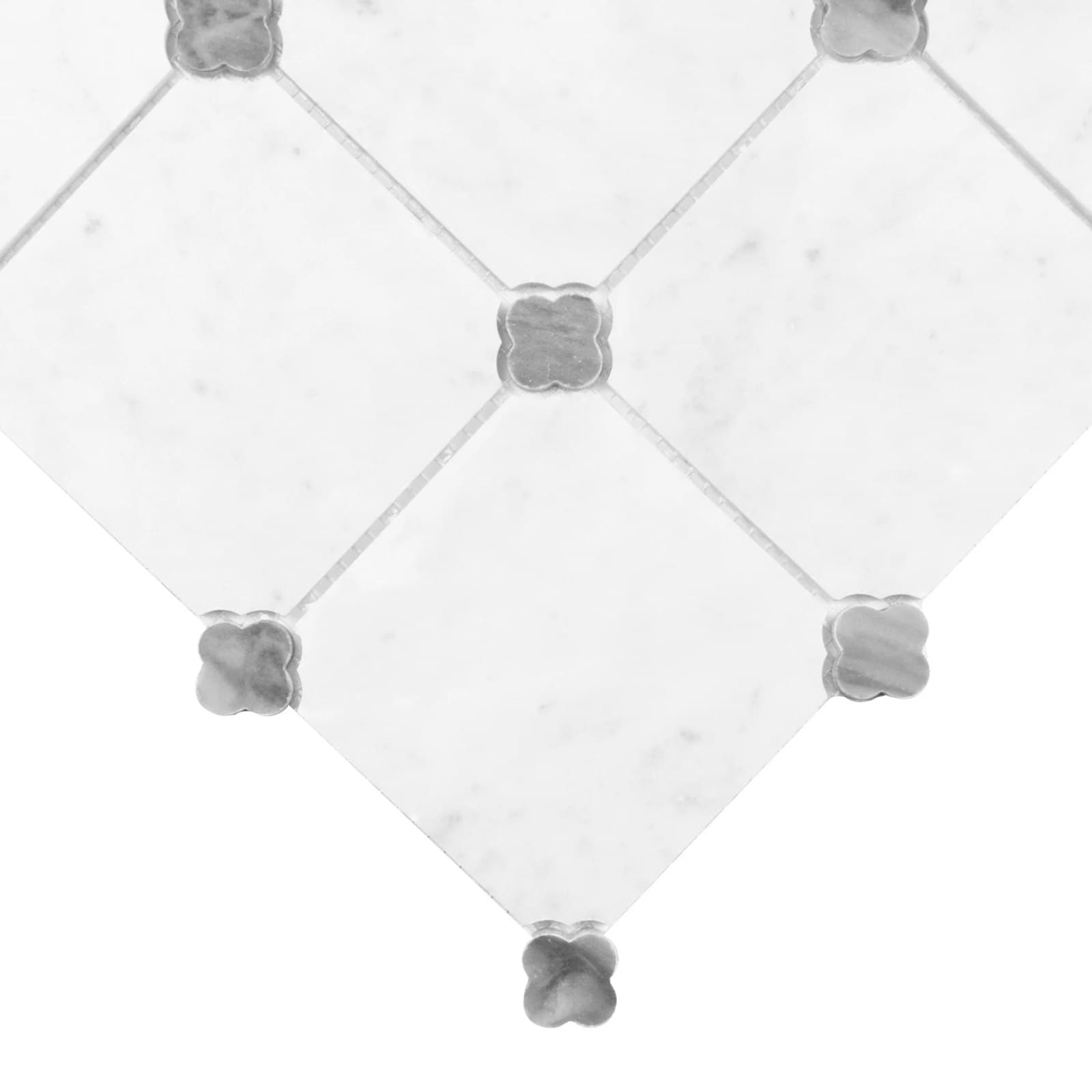 Carrara Octalux 100 - poza 3