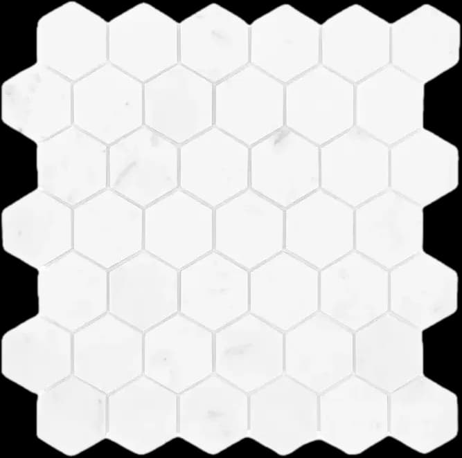 Carrara White Hexagon 48
