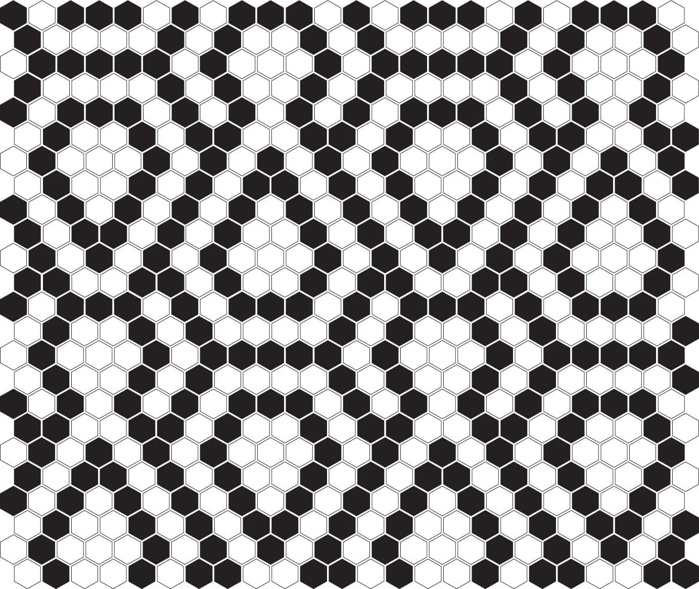 Mini Hexagon B&W Lace - poza 4