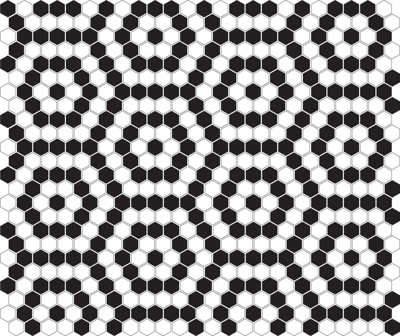 Mini Hexagon B&W Nano - poza 4