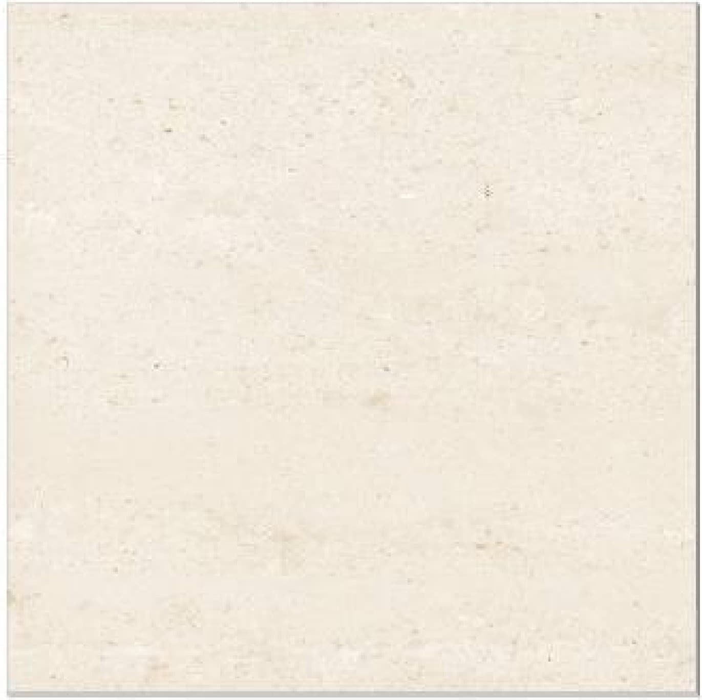 Aldo Beige, fotografia placii din catalog
