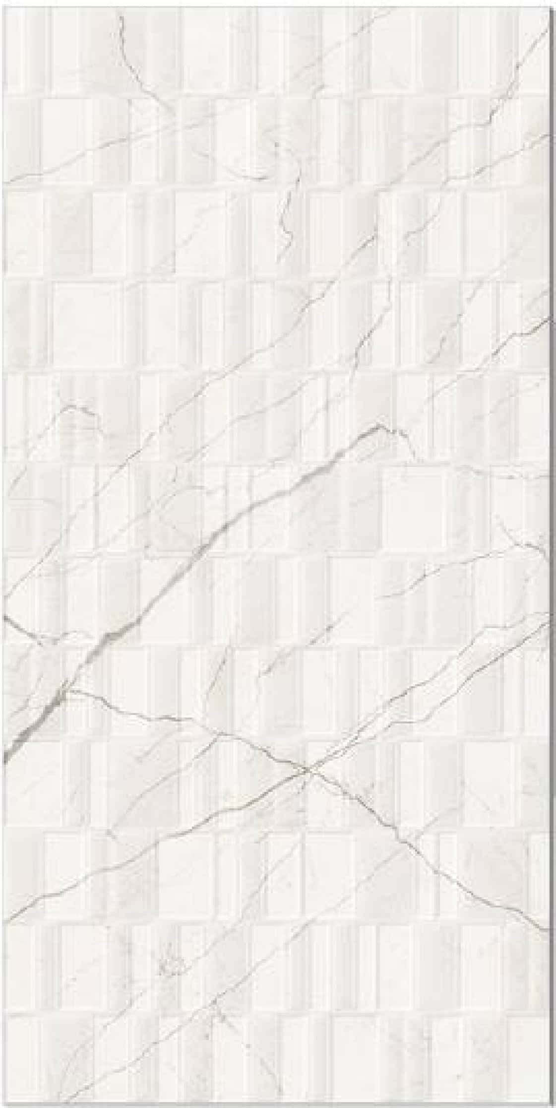 Aristo Bianco Vega, fotografia placii din catalog