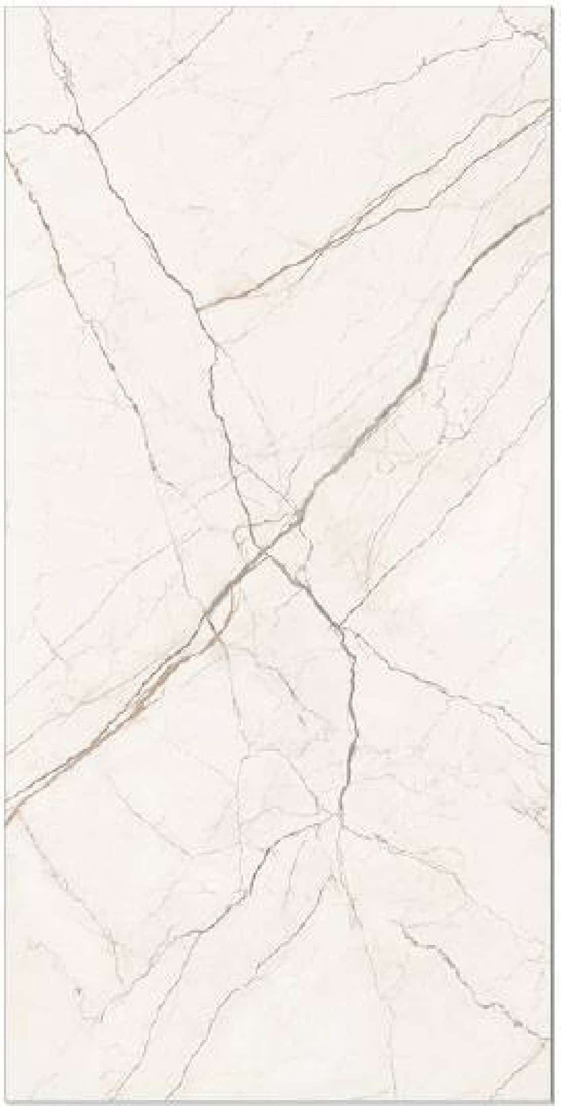 Aristo Bianco, fotografia placii din catalog
