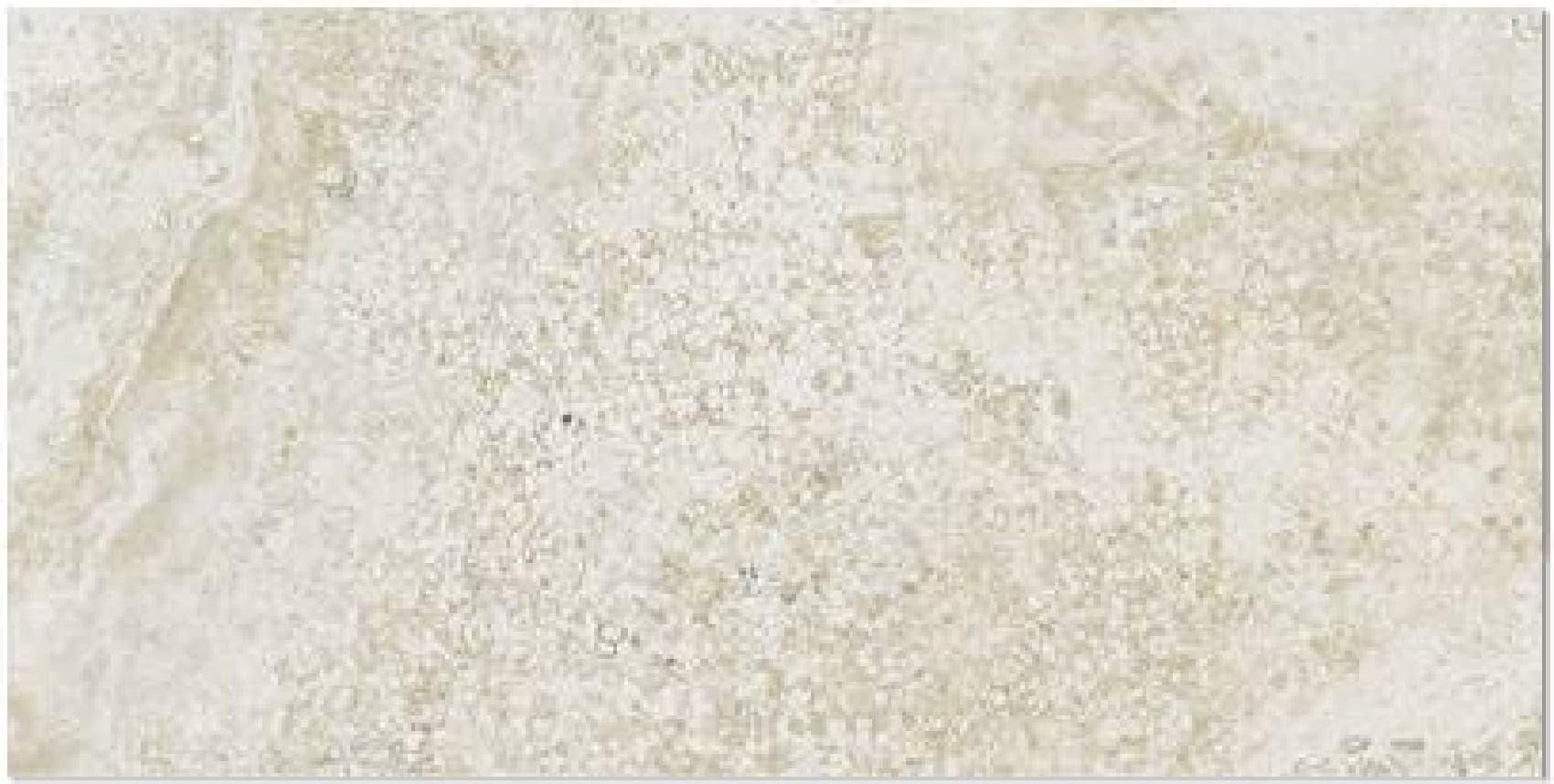Atica Bone, fotografia placii din catalog