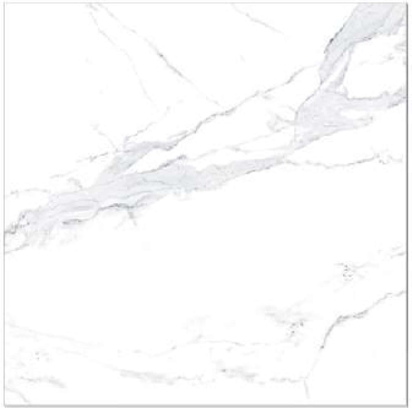 Avenzo Silver F P, fotografia placii din catalog