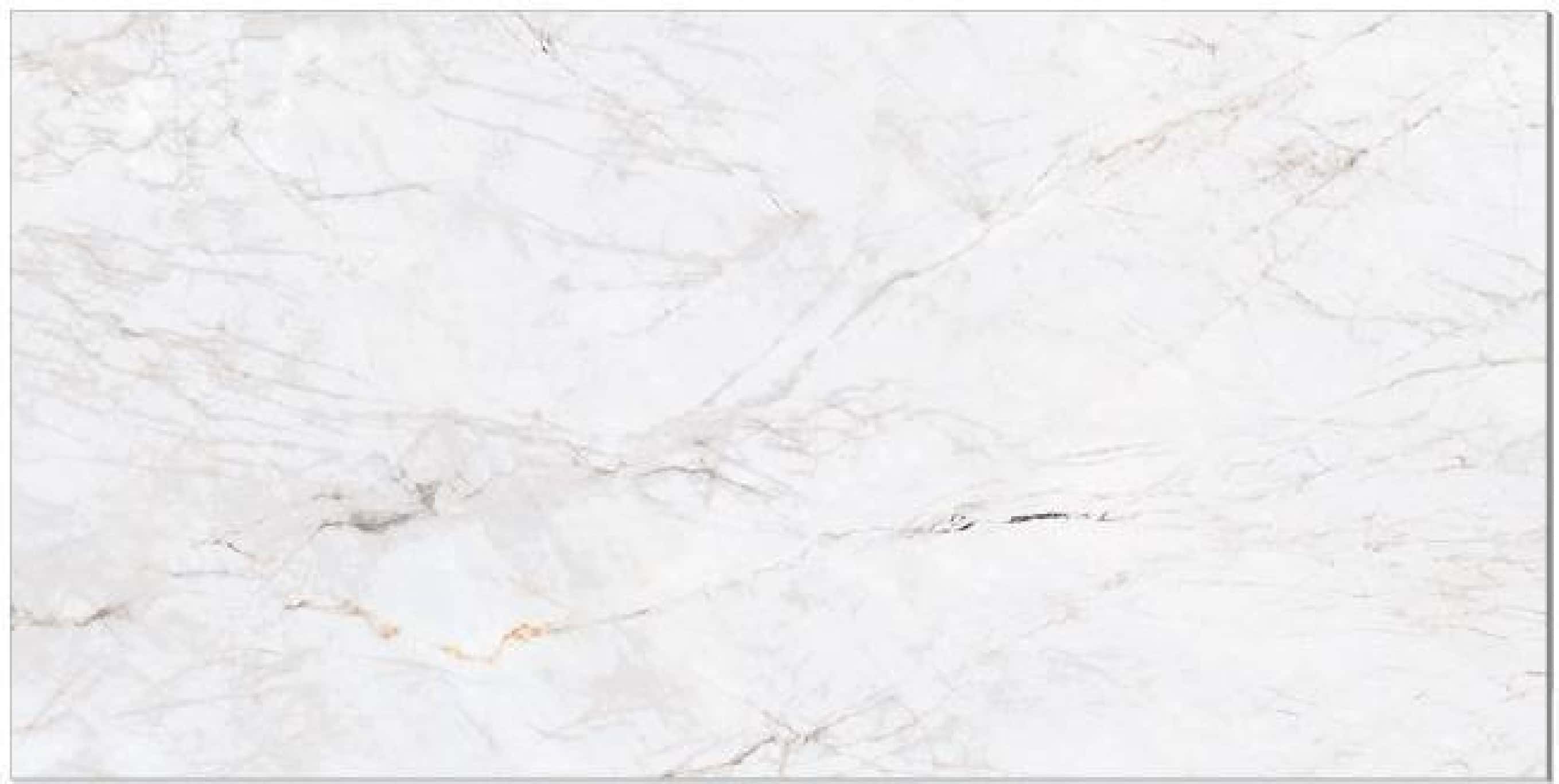 Bargamont Pearl, fotografia placii din catalog