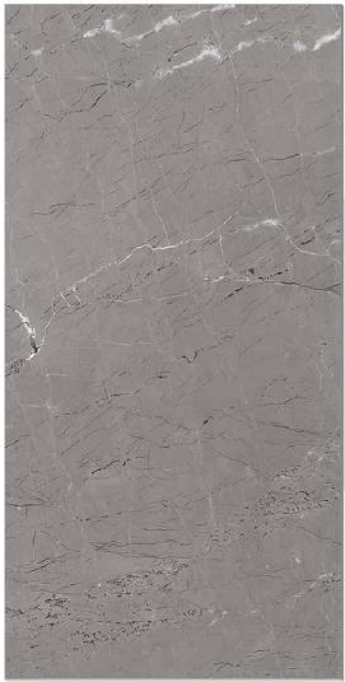 Blast Grey Carving, fotografia placii din catalog