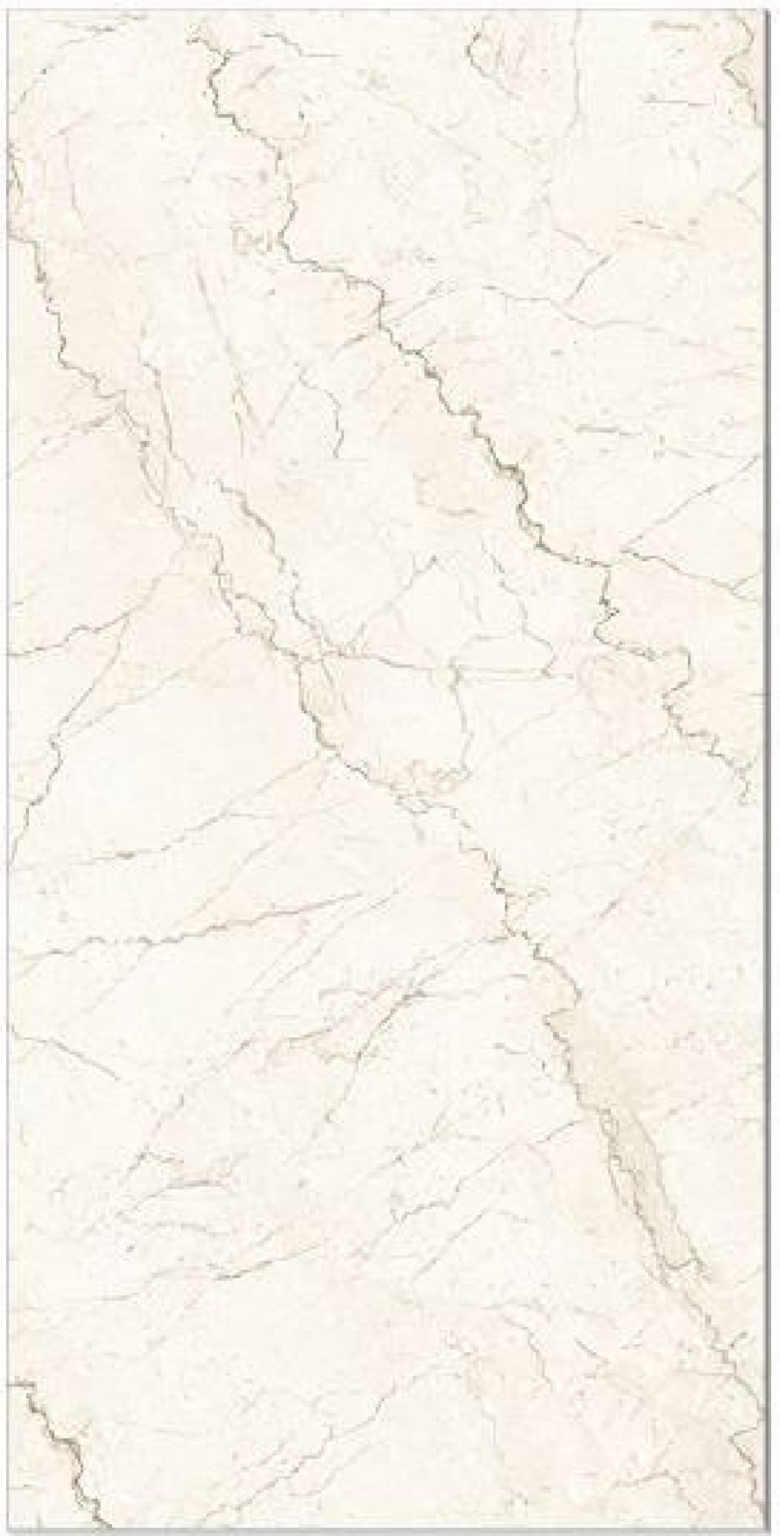 Bottochino White, fotografia placii din catalog