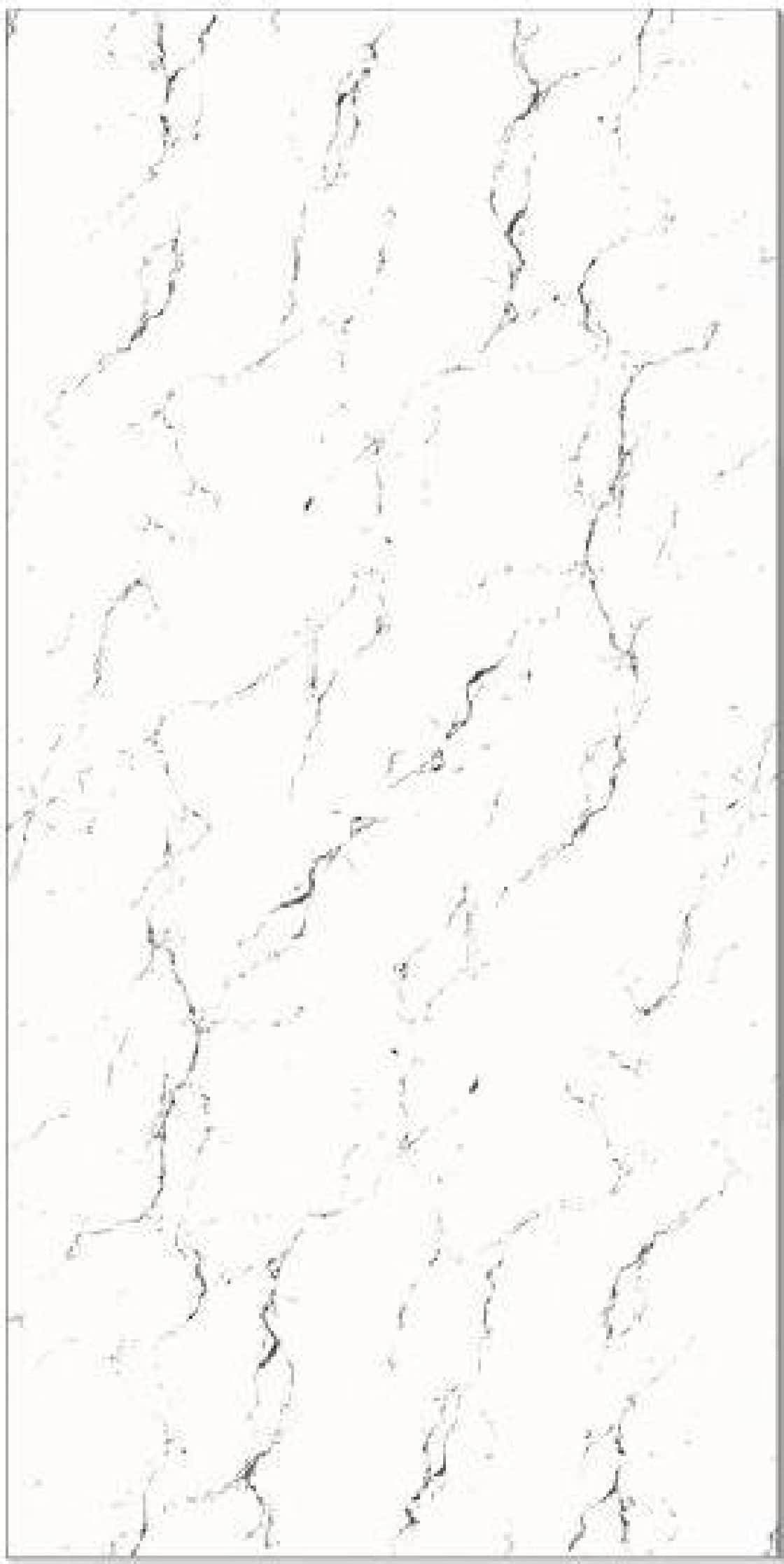 Cargo White, fotografia placii din catalog