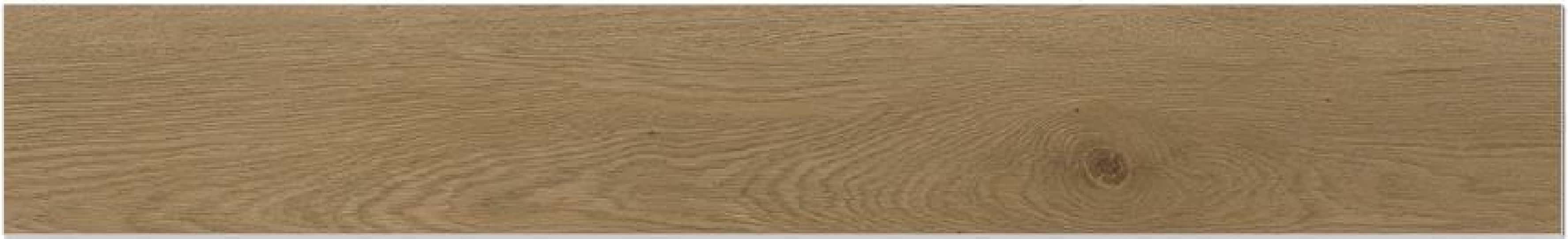 Cedar 0sc12218002, fotografia placii din catalog