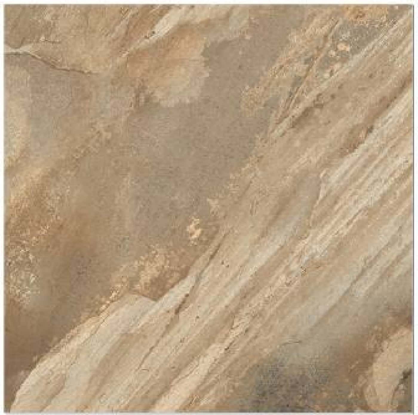 Fossil Copper, fotografia placii din catalog