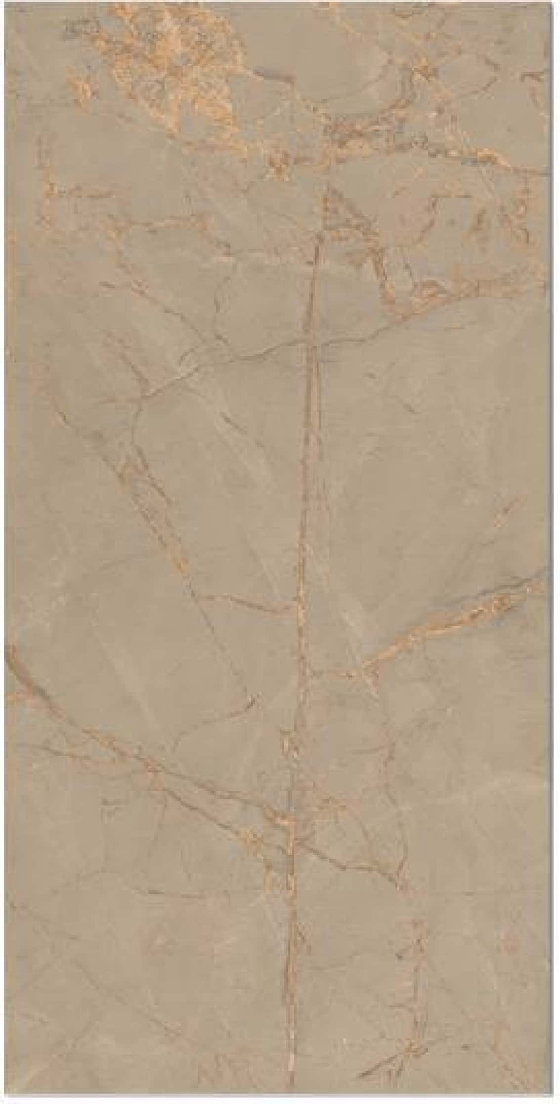 Golden French Brown, fotografia placii din catalog