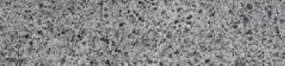 Granit Gri Split Face, 7×30 cm