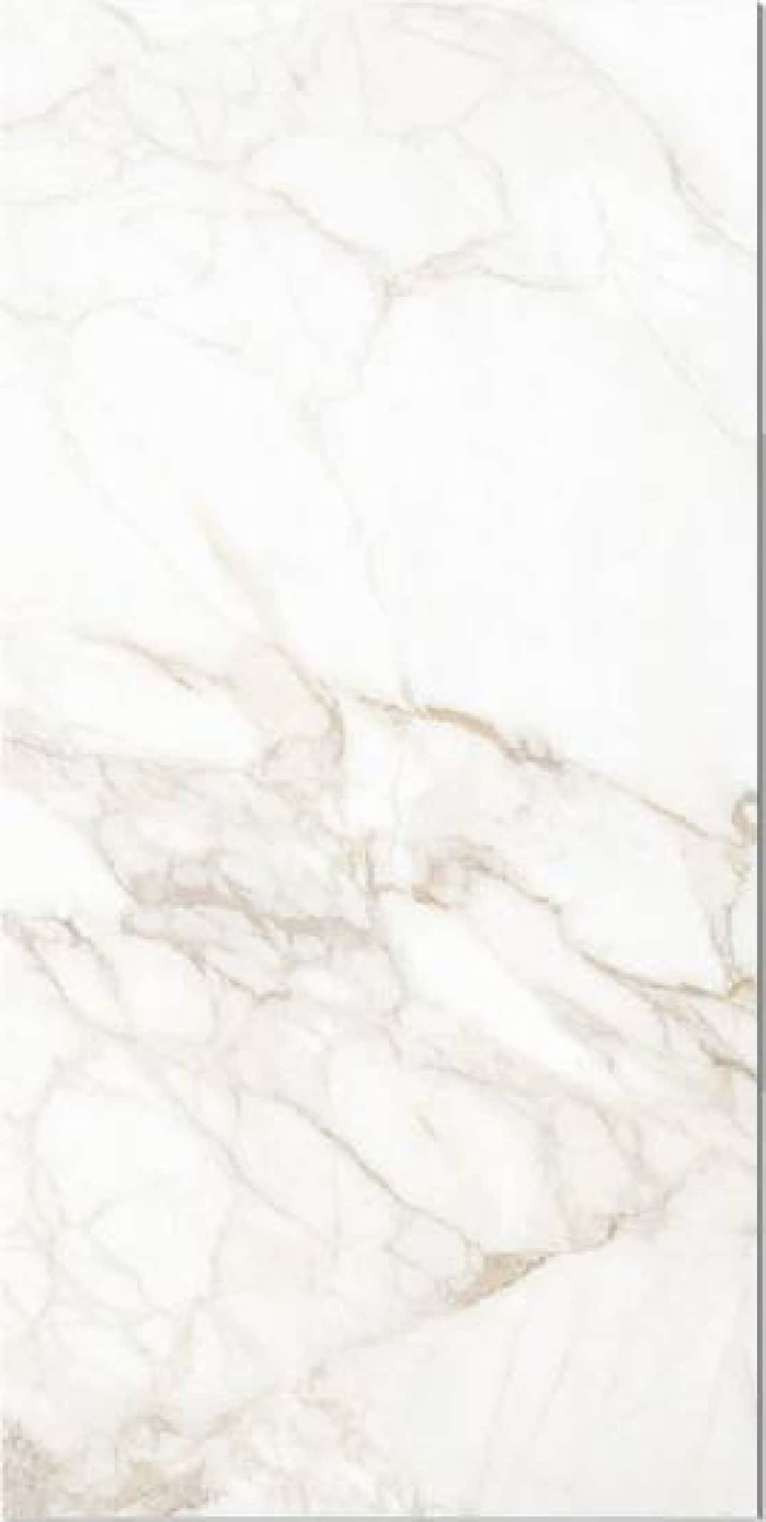 Imperial White, fotografia placii din catalog