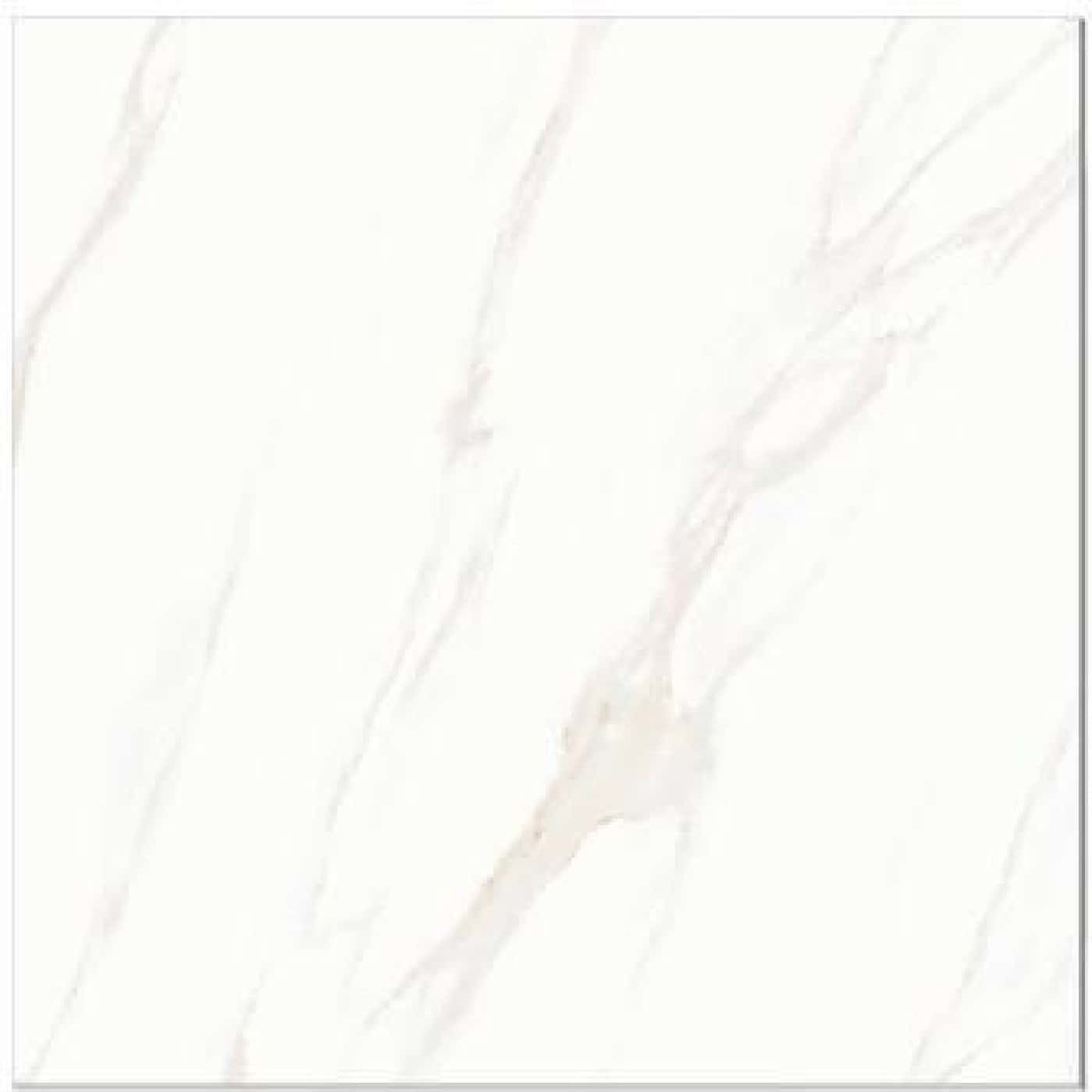 Gresie JBN83639D, fotografia placii din catalog