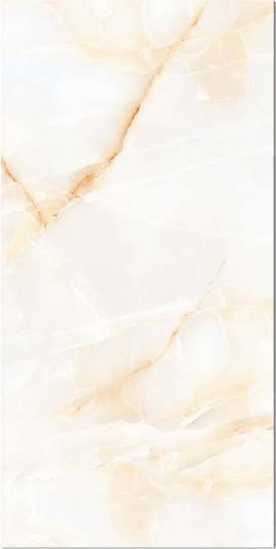 Jeny Beige, fotografia placii din catalog