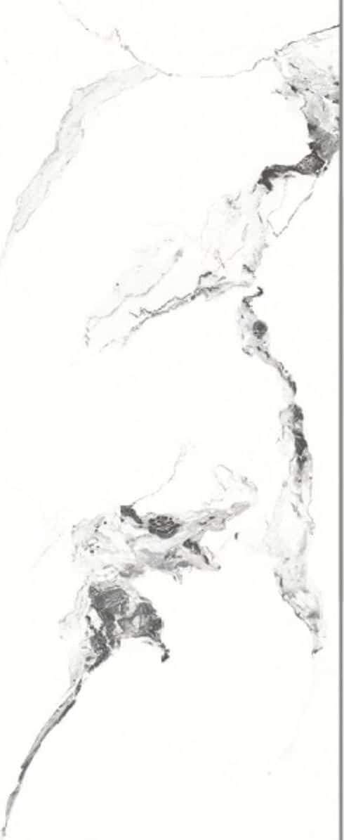Milis White Carving, fotografia placii din catalog