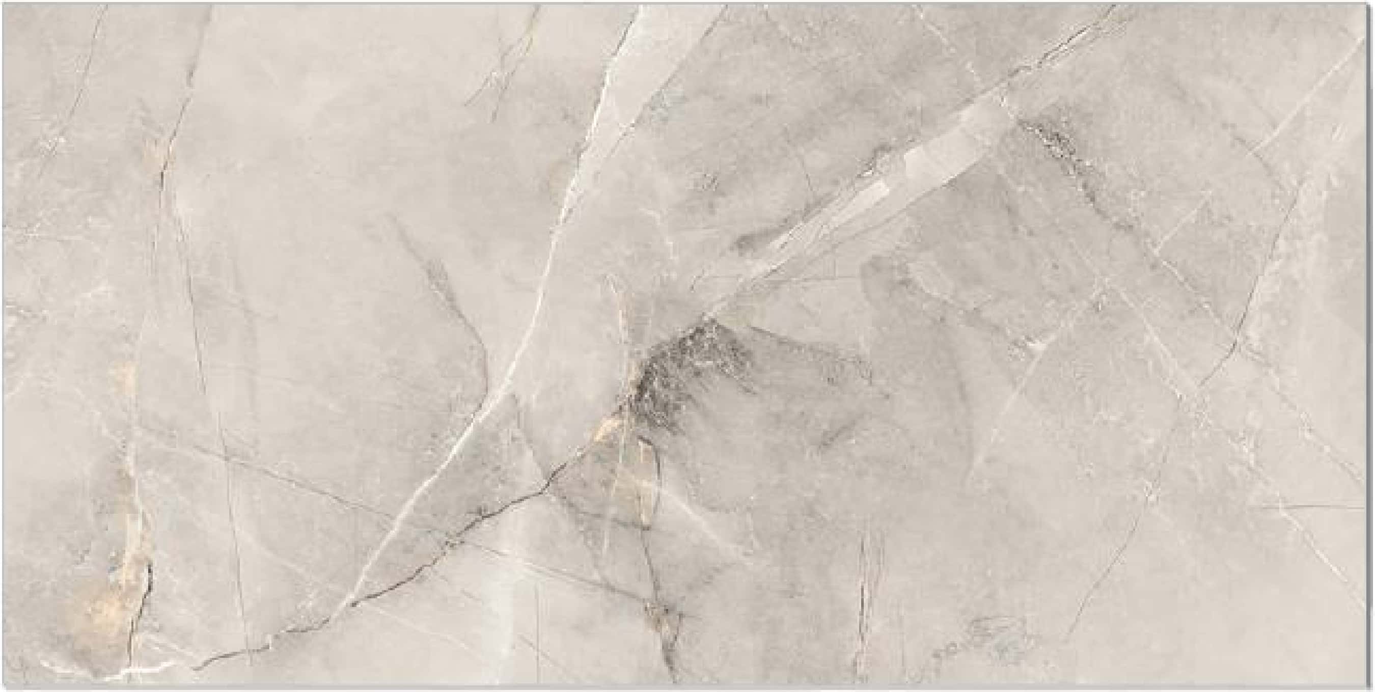 Noventa Gris, fotografia placii din catalog