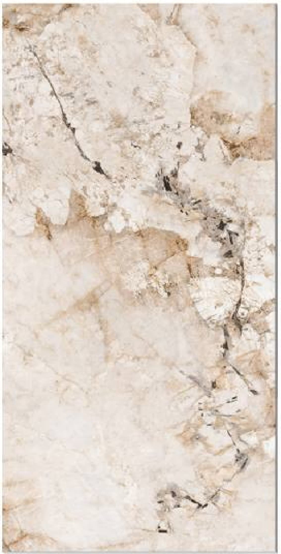 Omicron Crema, fotografia placii din catalog