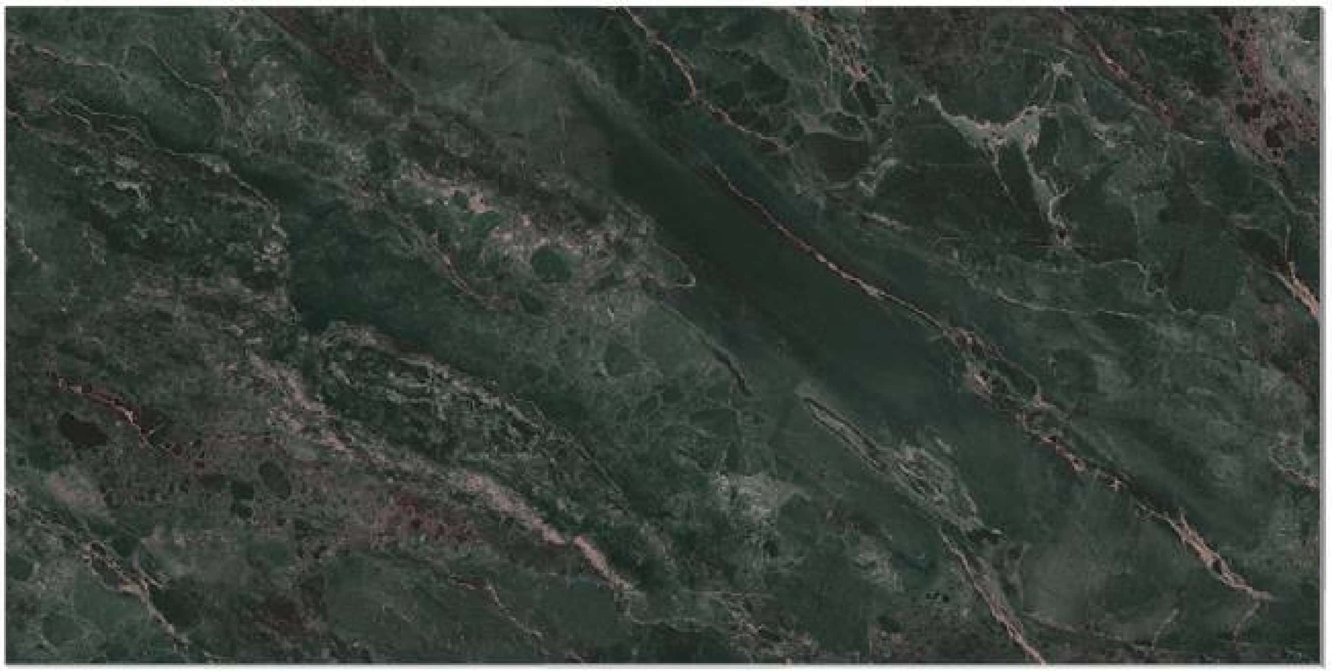 Rhyolite Forest, fotografia placii din catalog