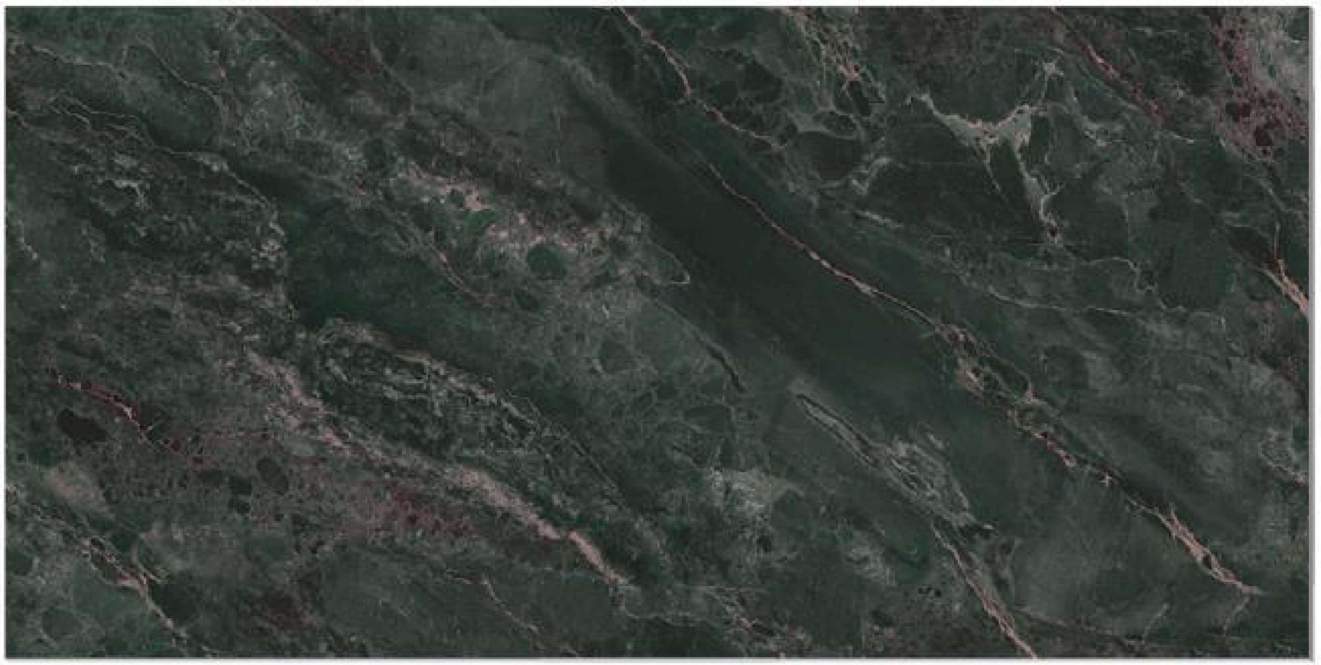 Rhyolite Forest, fotografia placii din catalog