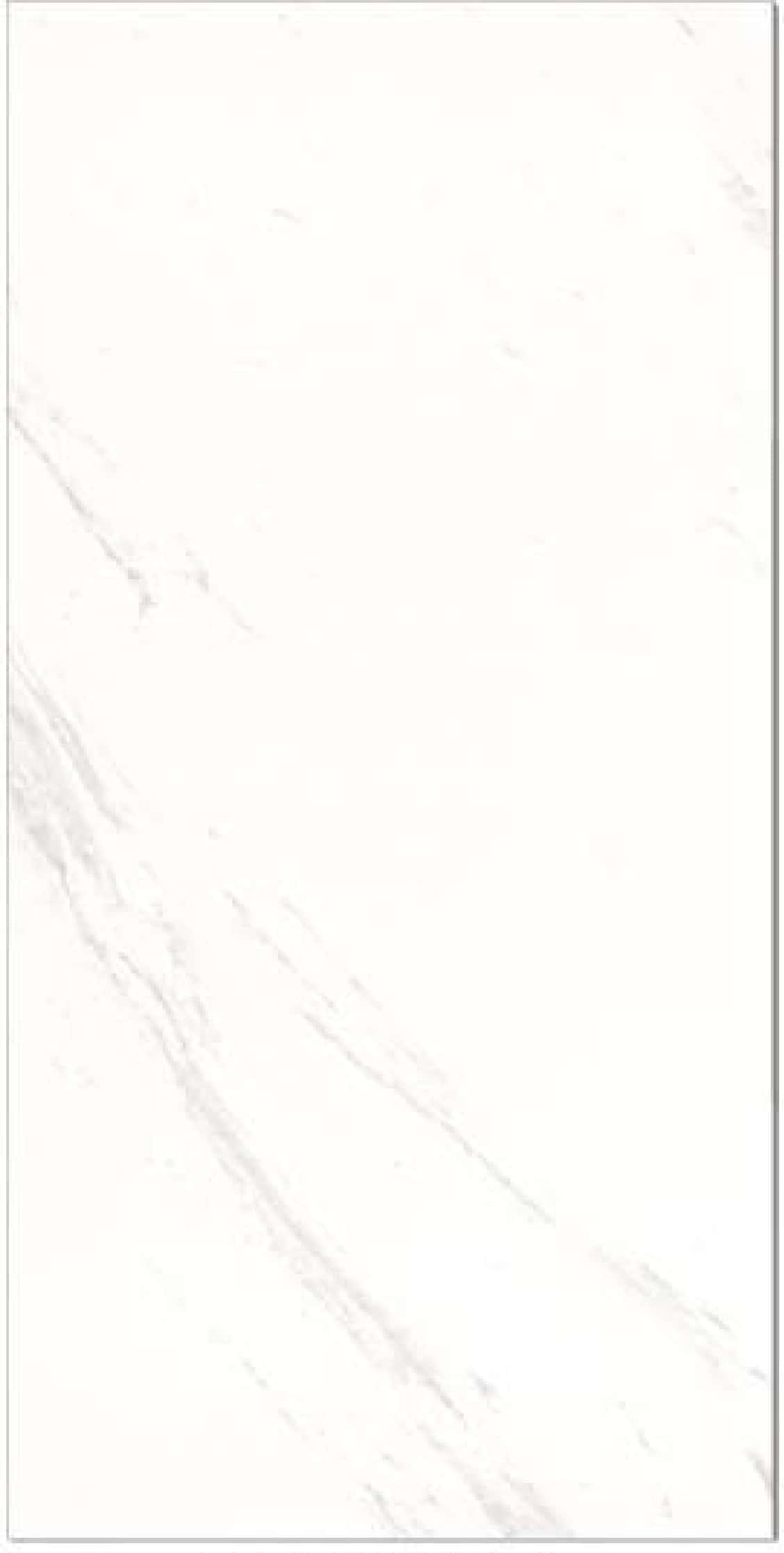 Royal Platinum Satvario, fotografia placii din catalog