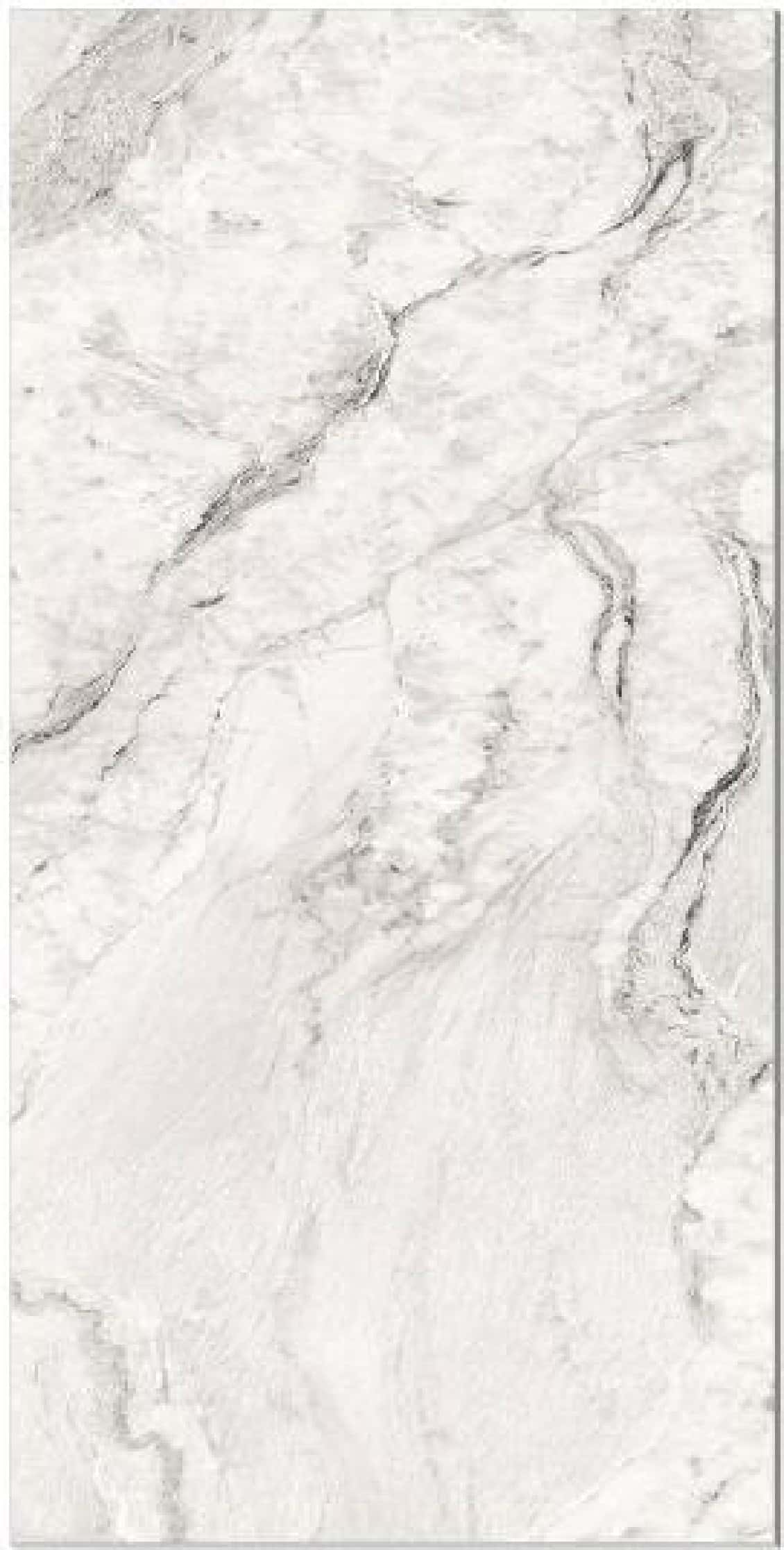 Smalko (samalko) White, fotografia placii din catalog