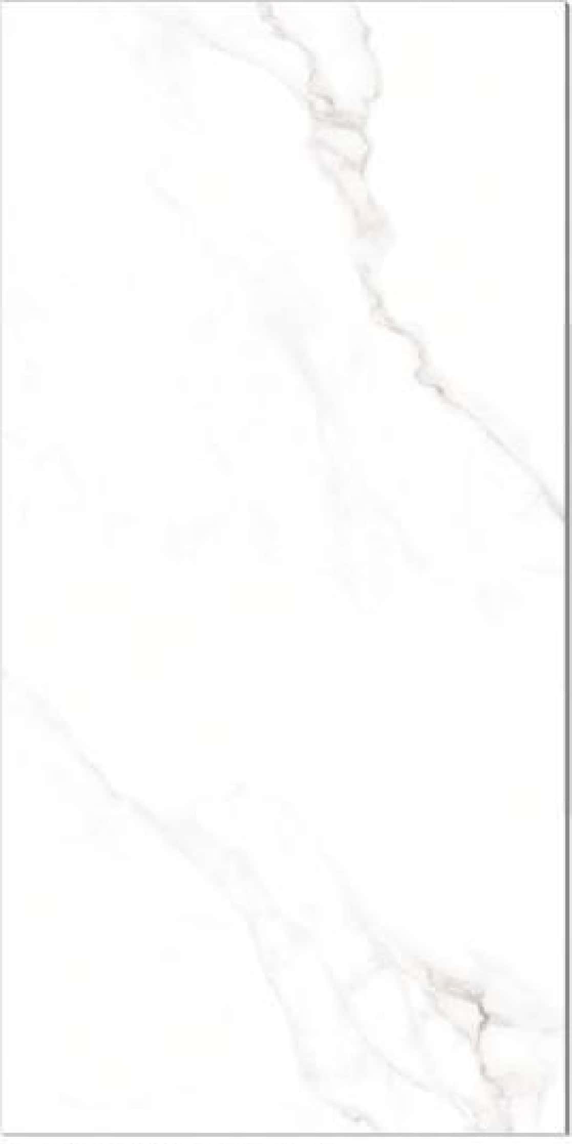 Statuario Borgini, fotografia placii din catalog