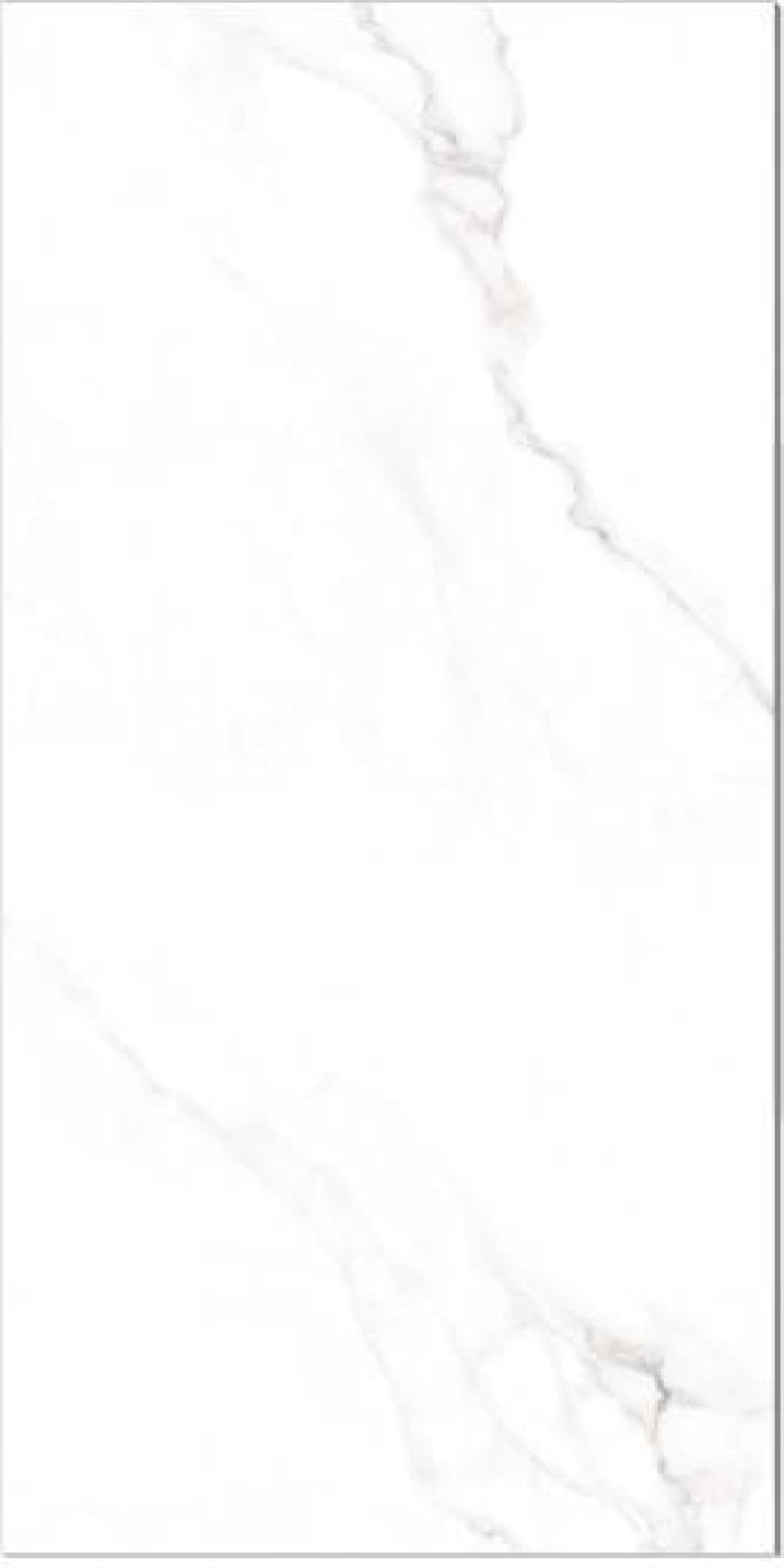 Statuario Borgini, fotografia placii din catalog