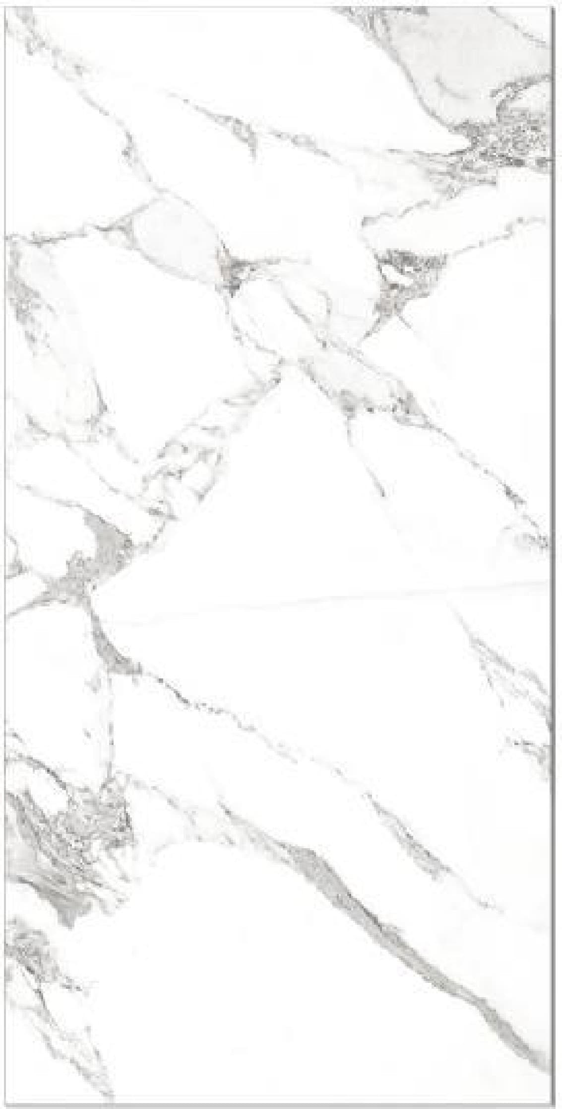 Torrano Calacatta, fotografia placii din catalog