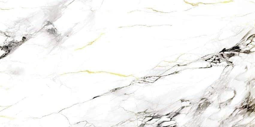 Zavier White (VLZ) - o placă 60×120 cm