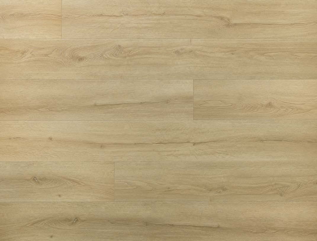 Chevalier Oak - textură