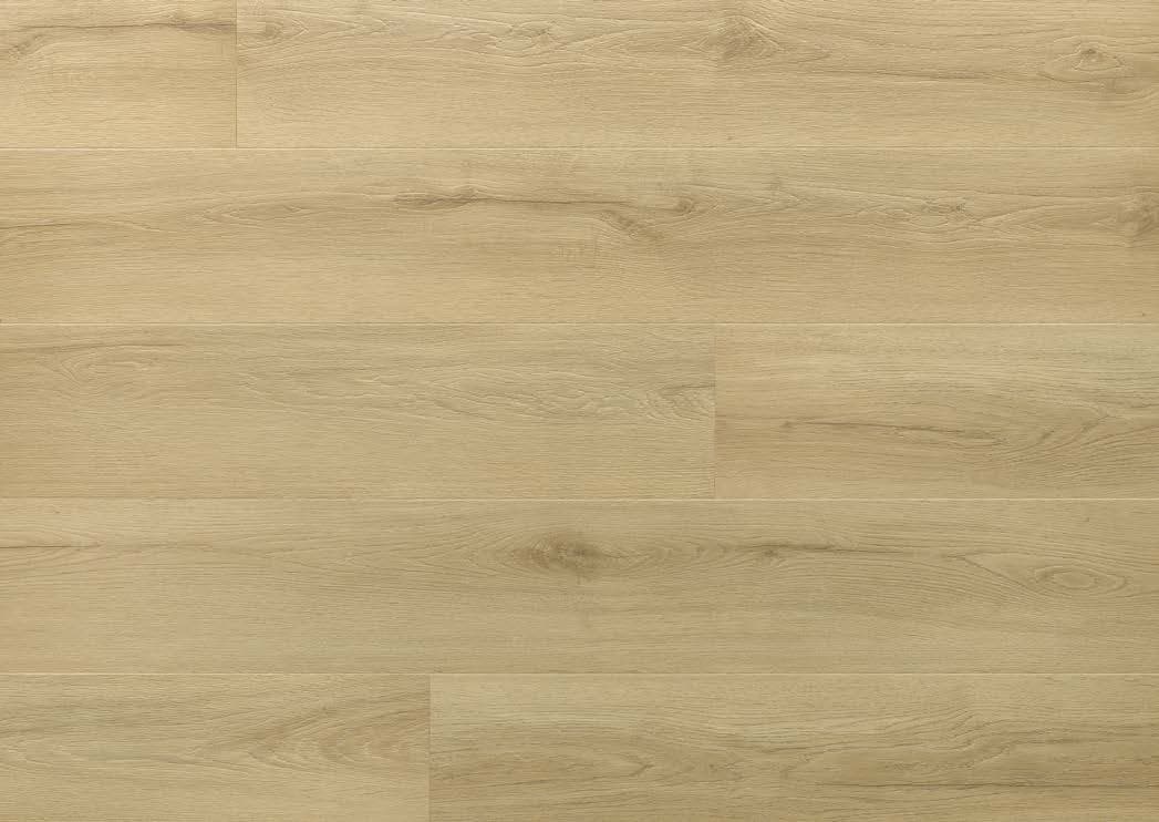 Princeton Oak - textură